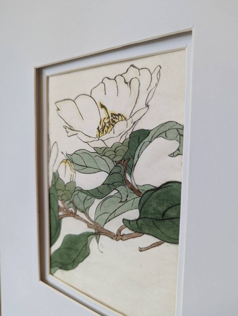 Framed Flower Study on Rice Paper