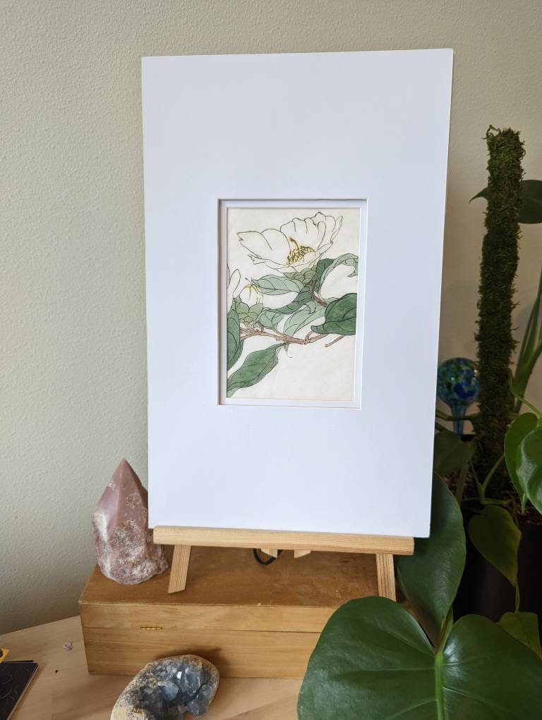 Framed Flower Study on Rice Paper