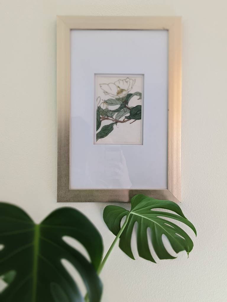 Framed Flower Study on Rice Paper