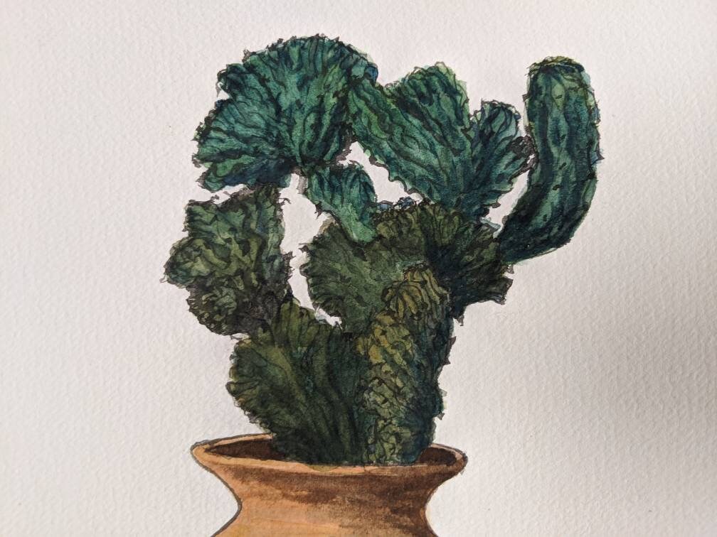 Crested Blue Cactus - Watercolor Painting